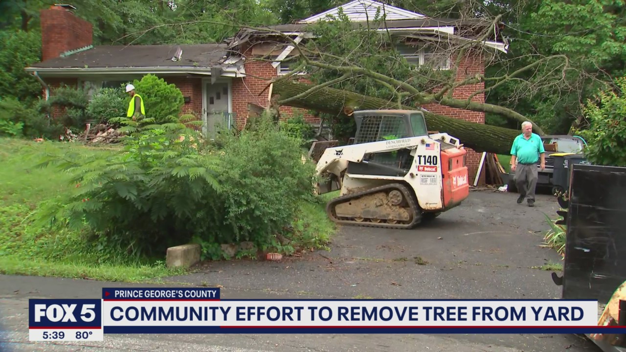 Community comes together to help remove tree that has been blocking Adelphi home for months