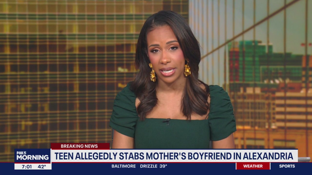 Teen in custody after stabbing, killing mother’s boyfriend following alleged domestic assault: cops