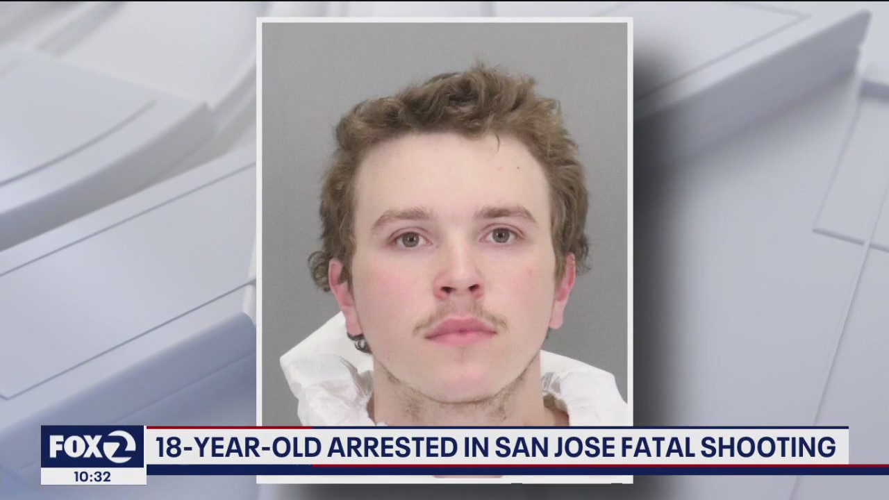 Teen arrested for allegedly killing San Jose man while possibly trying to steal dog