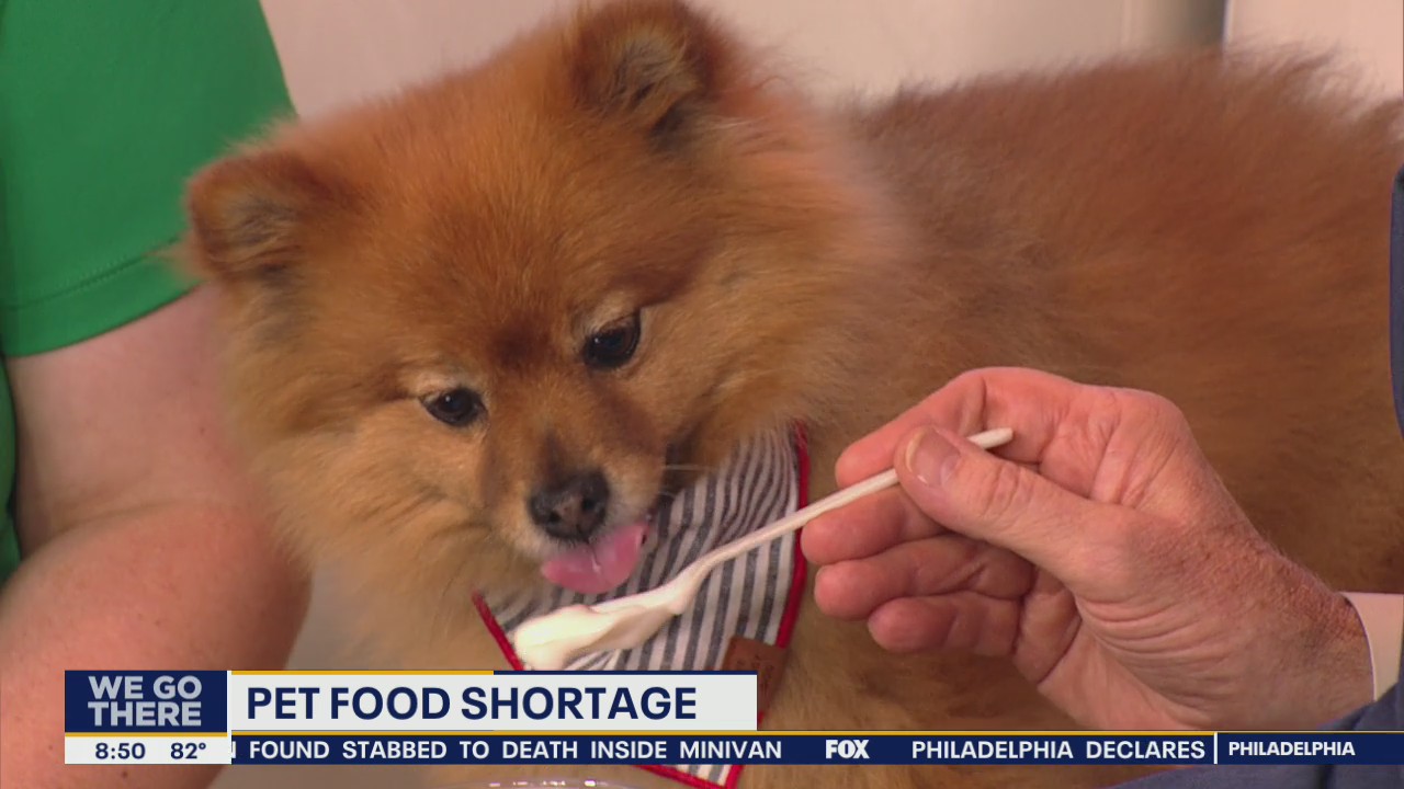 Pet owners struggle amid shortage of pet food