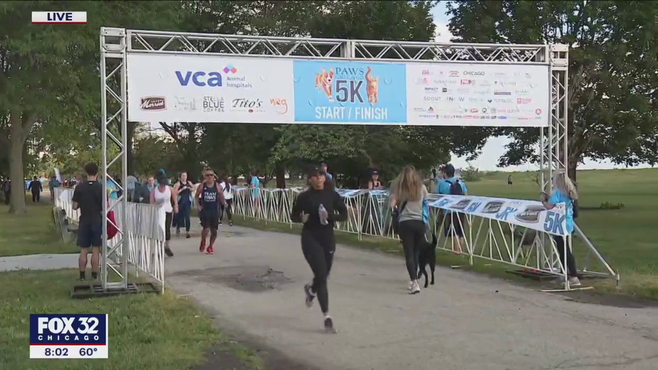 Annual PAWS Chicago 5K kicks off at Montrose Harbor