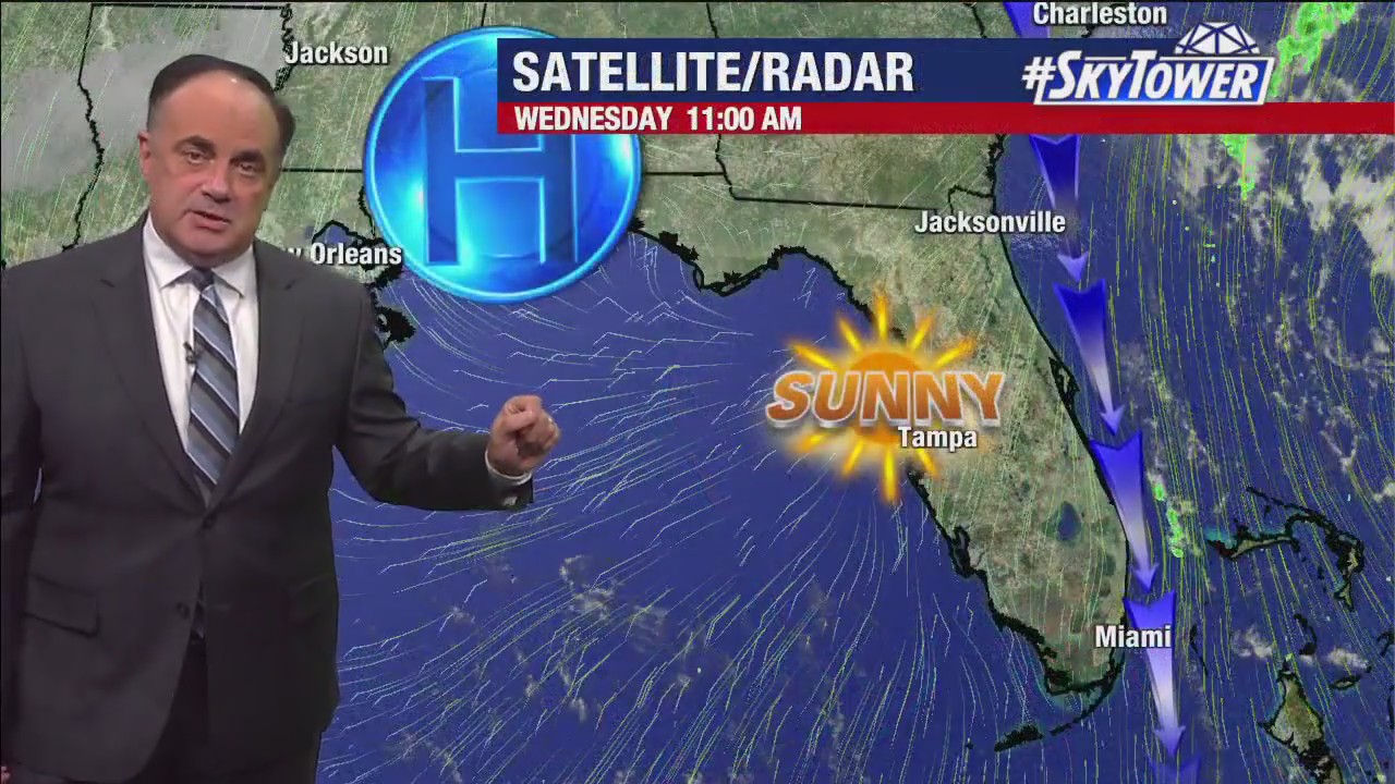 Tampa weather | Clear, cool Wednesday night