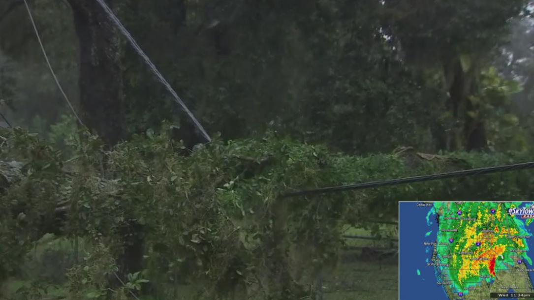 Wind takes down trees, power across Hillsborough County from Hurricane Ian