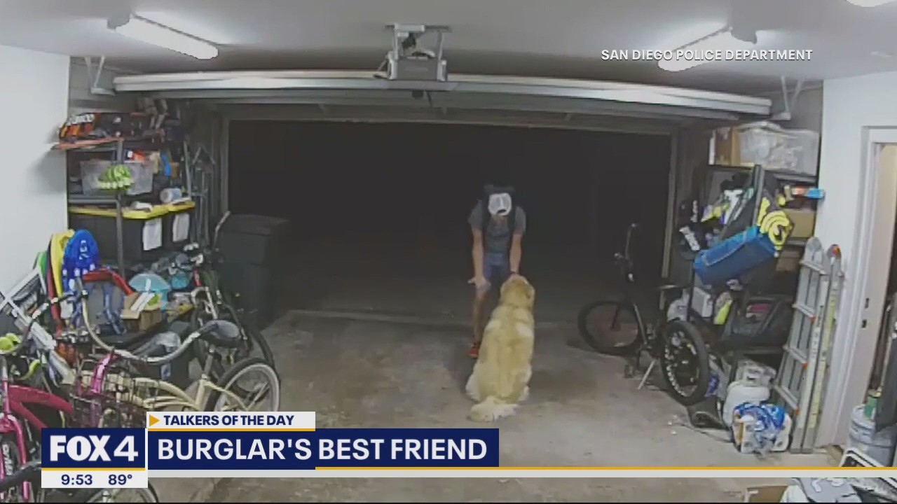 Talkers of the Day: A burglar's best friend & more