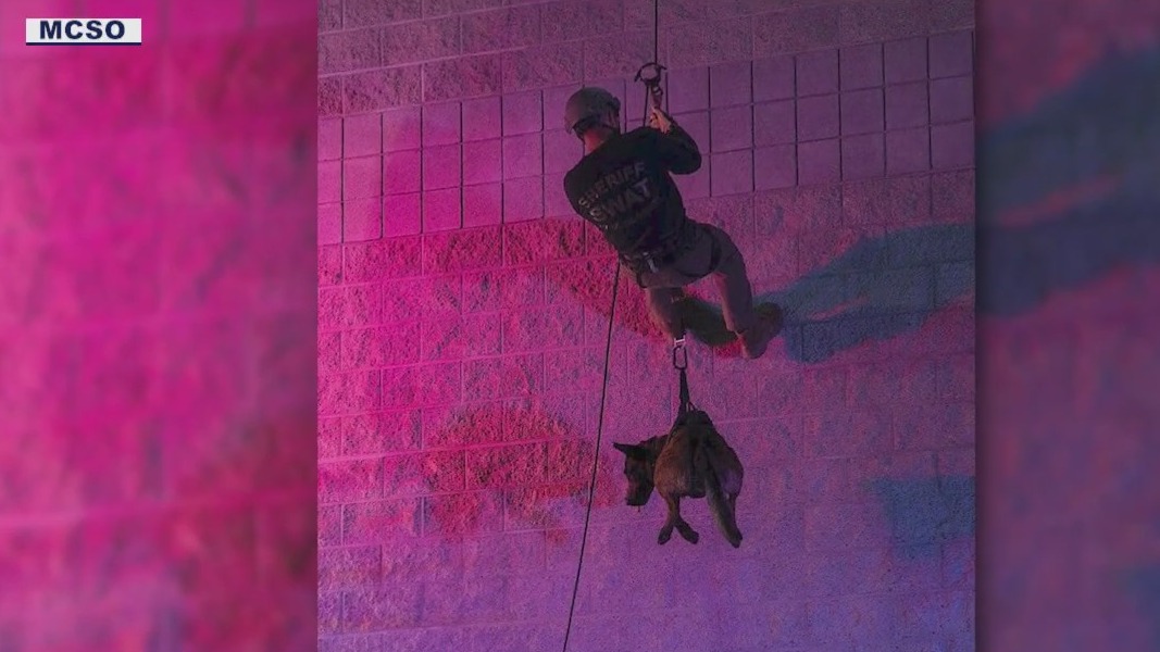 MCSO K-9 deputy ‘Kimbo’ passes away