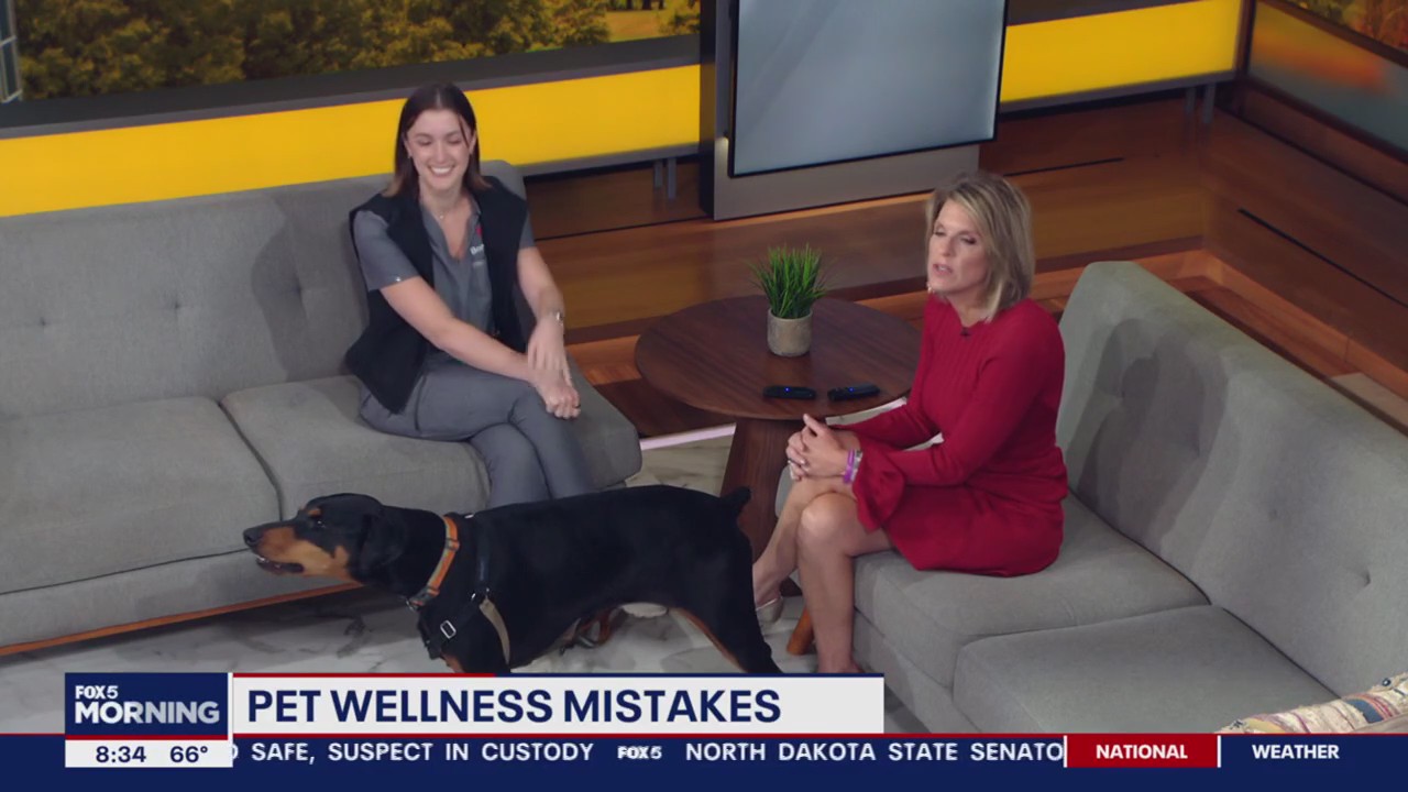 Pet wellness mistakes