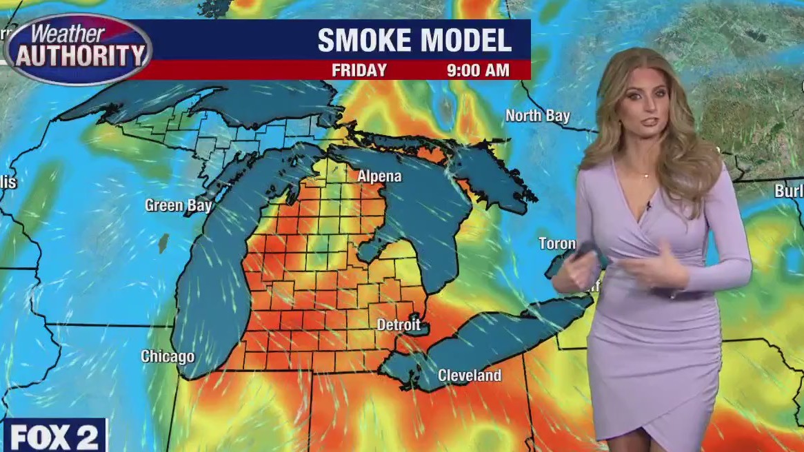 Canada fires still hurting Michigan's air quality but rain is finally coming