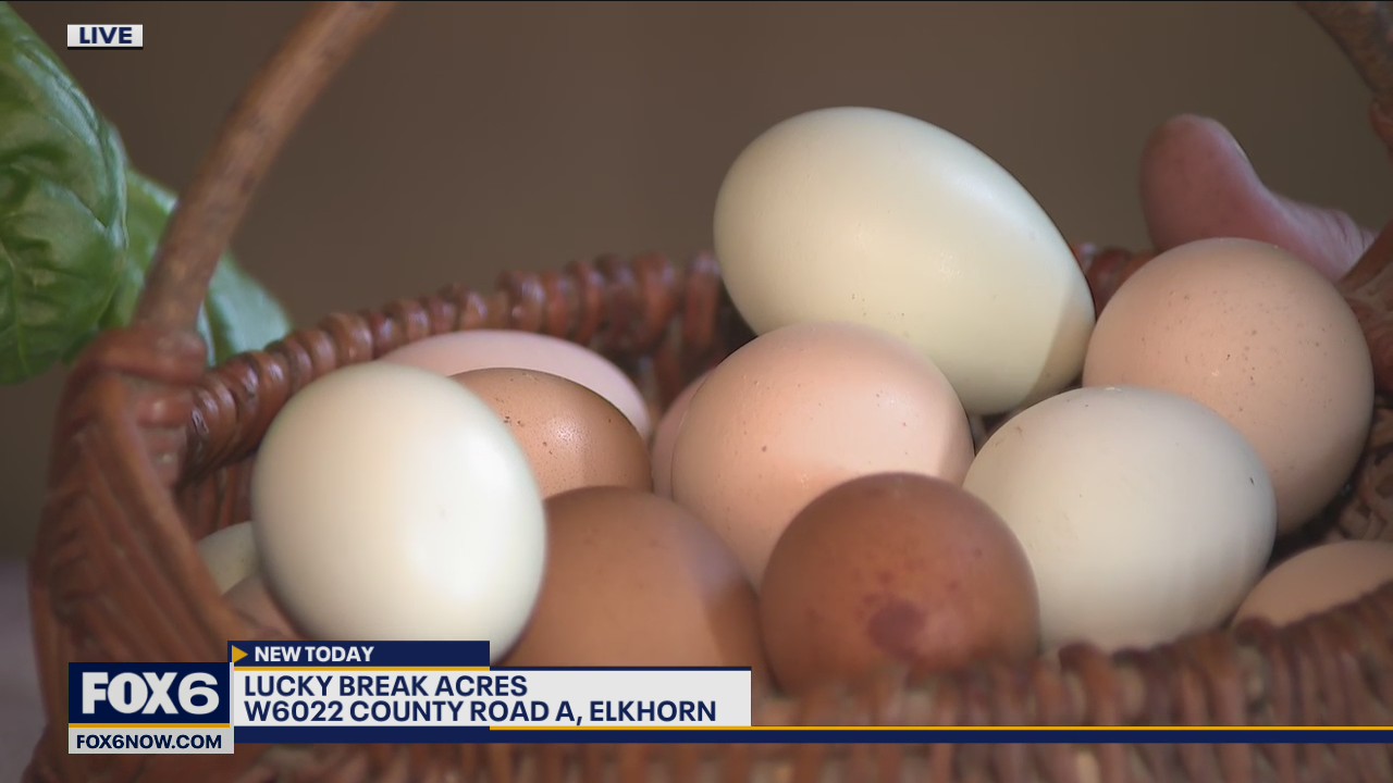 Life on the farm isn’t easy, but for one couple in Elkorn the decision to move on to a farm was a dream come true