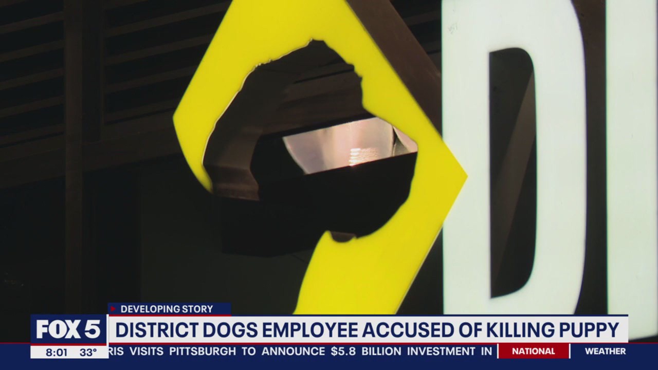 Puppy dies after hit by District Dogs employee