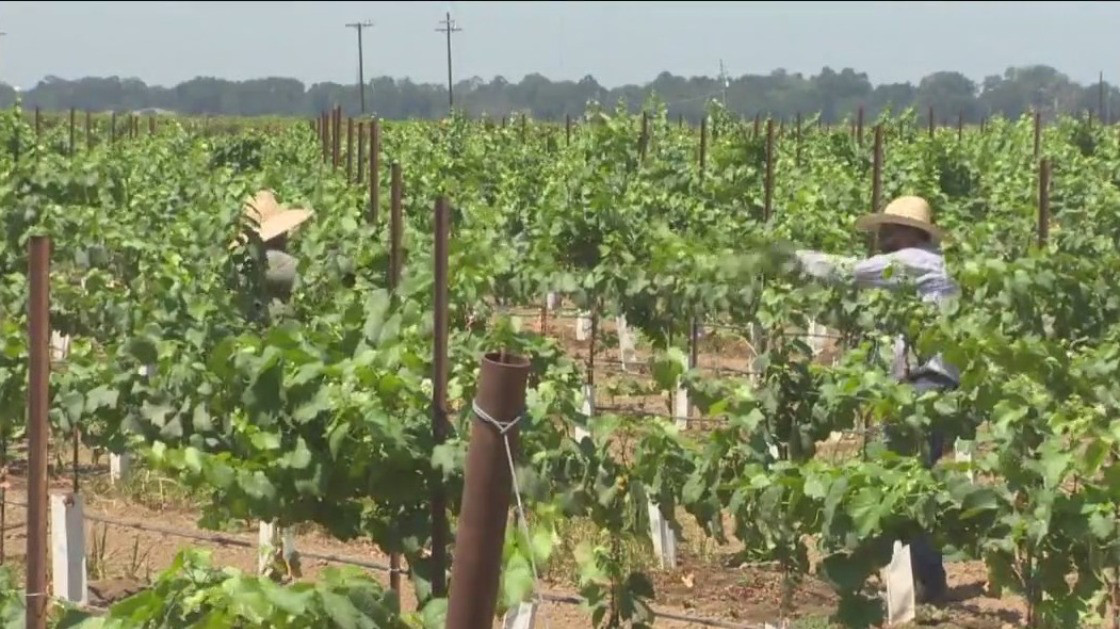 Fundraiser to benefit California farmworkers