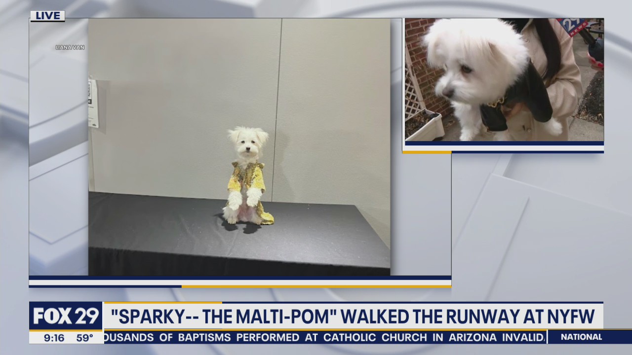 ‘Sparky’ the dog hits the runway at New York Fashion Week