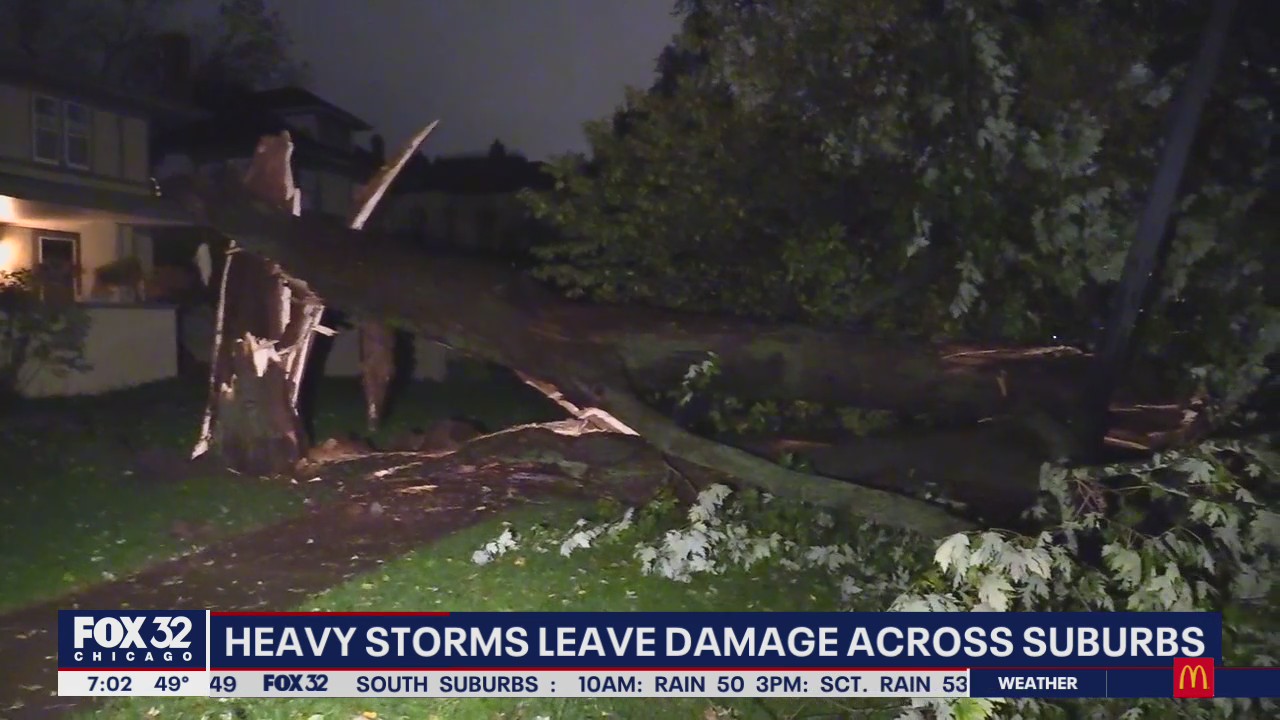 Continuous rain, strong winds down trees and flood streets across Chicagoland