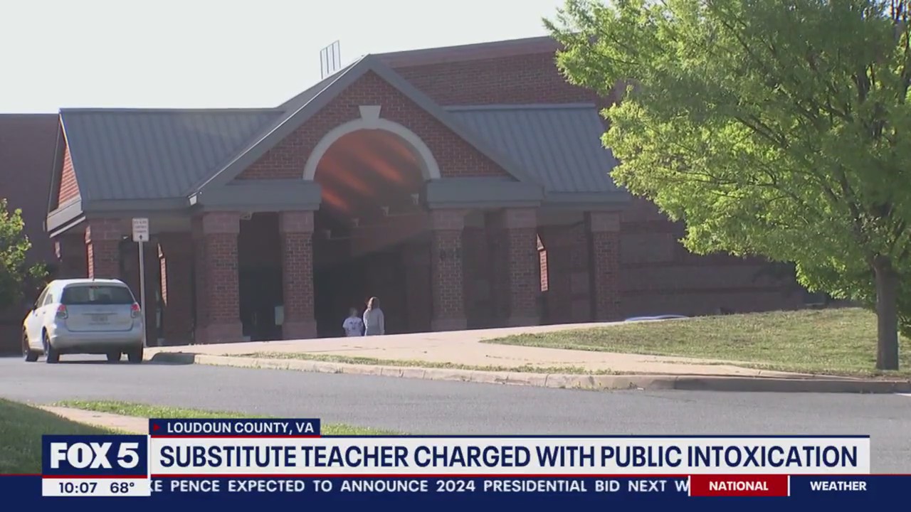 Leesburg substitute teacher charged with public intoxication