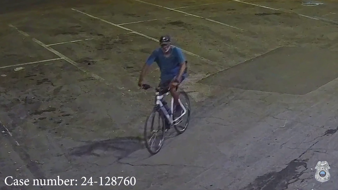 Video: TPD searches for stabbing suspect