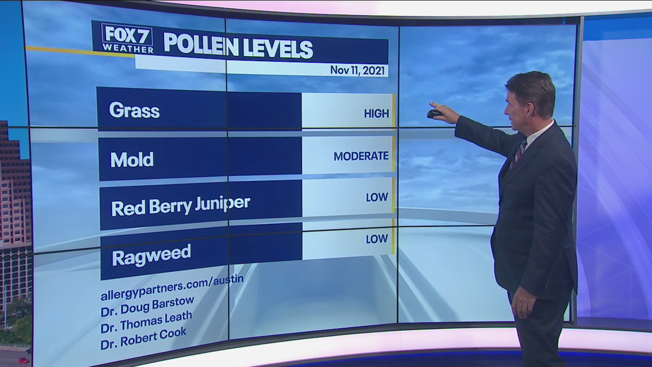 Noon weather forecast for November 11, 2021