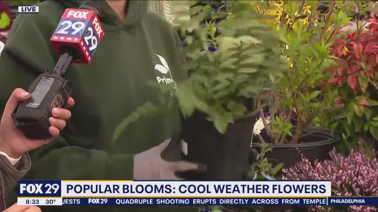 Tips and tricks for your best garden this spring