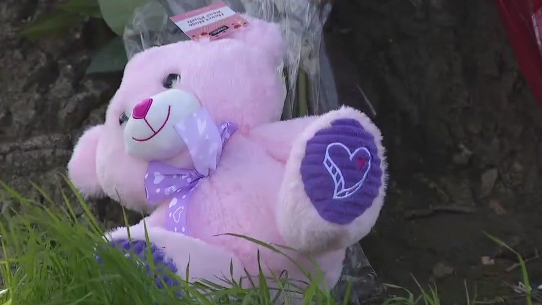 Memorial marks where 2 girls were killed in Gilroy crash