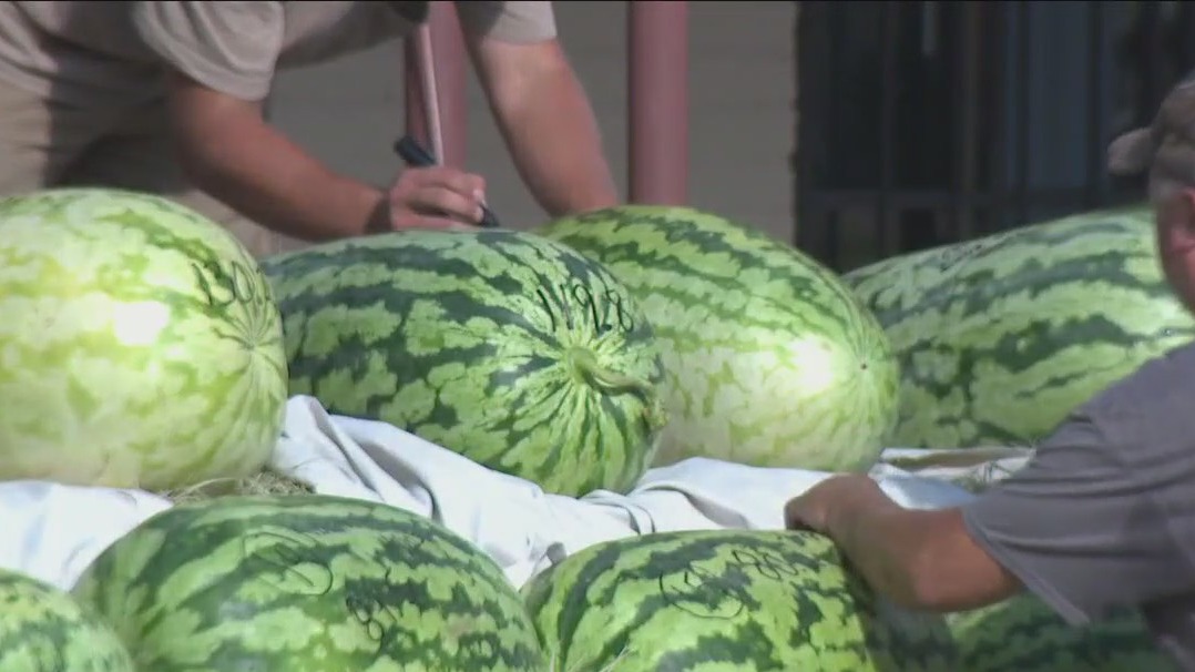 McDade Watermelon Festival and Parade