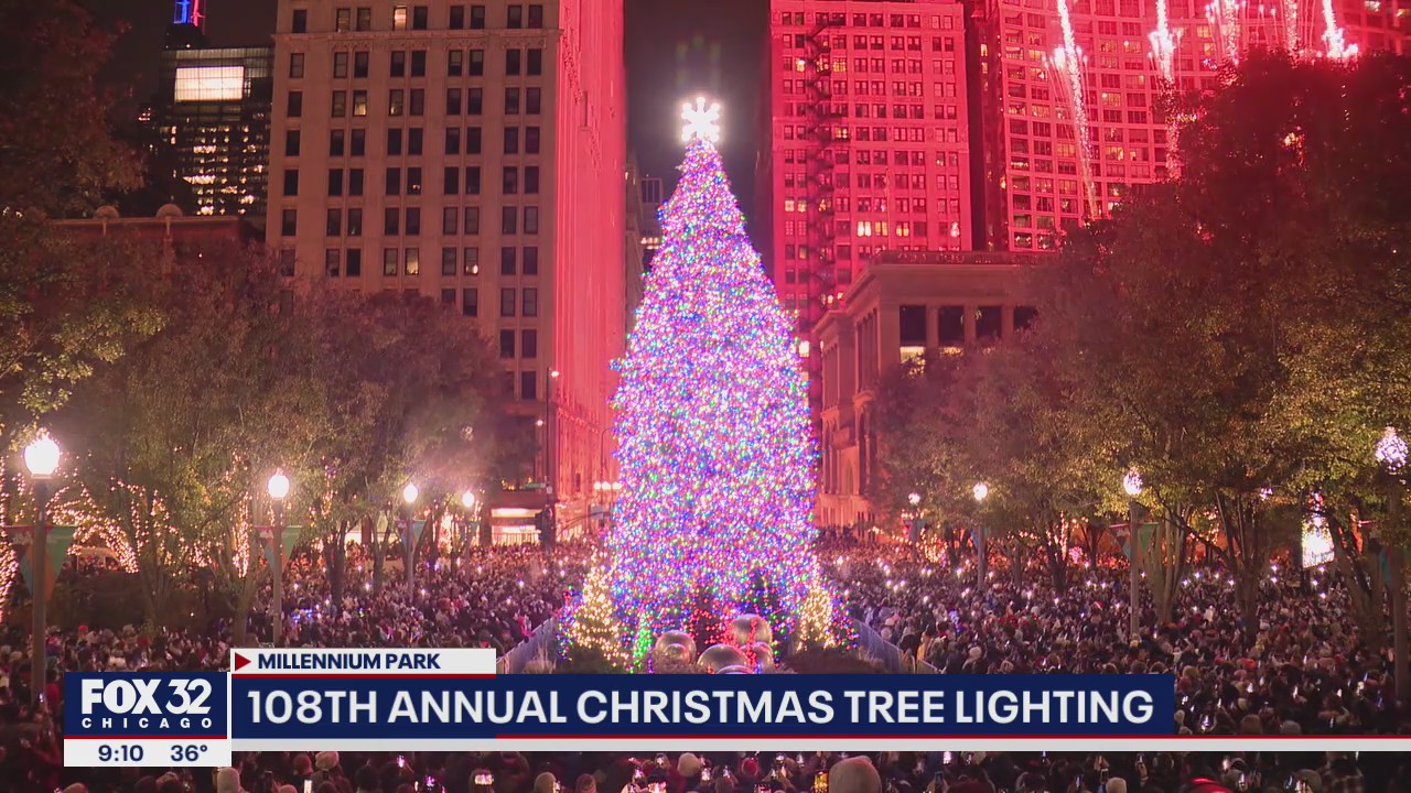 Chicago lights Millennium Park Christmas tree