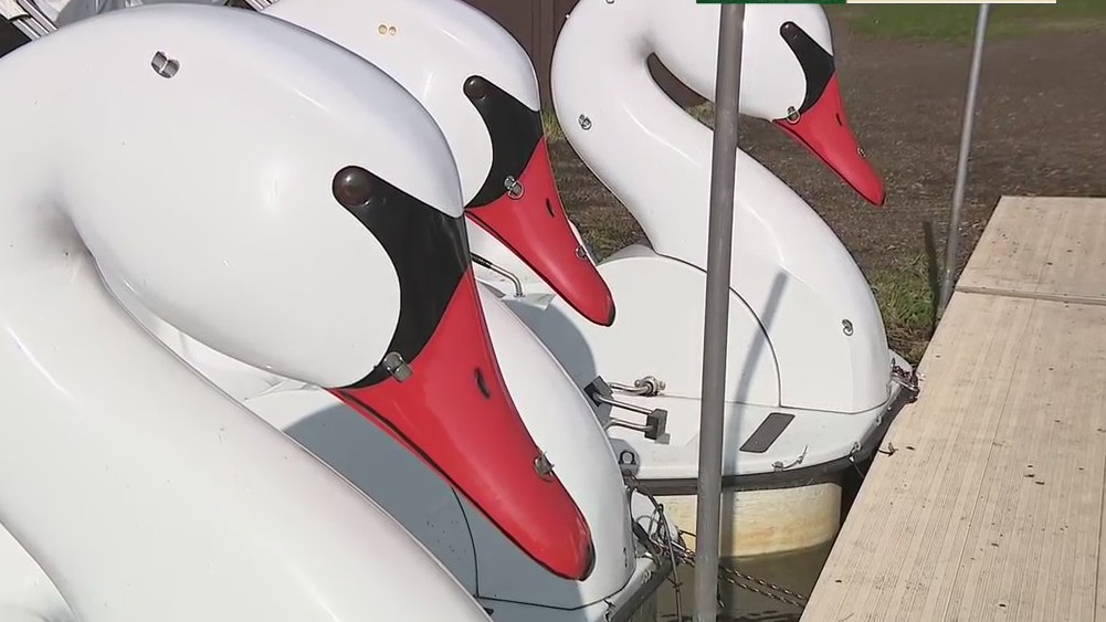 Boston swan boats copied in Milwaukee