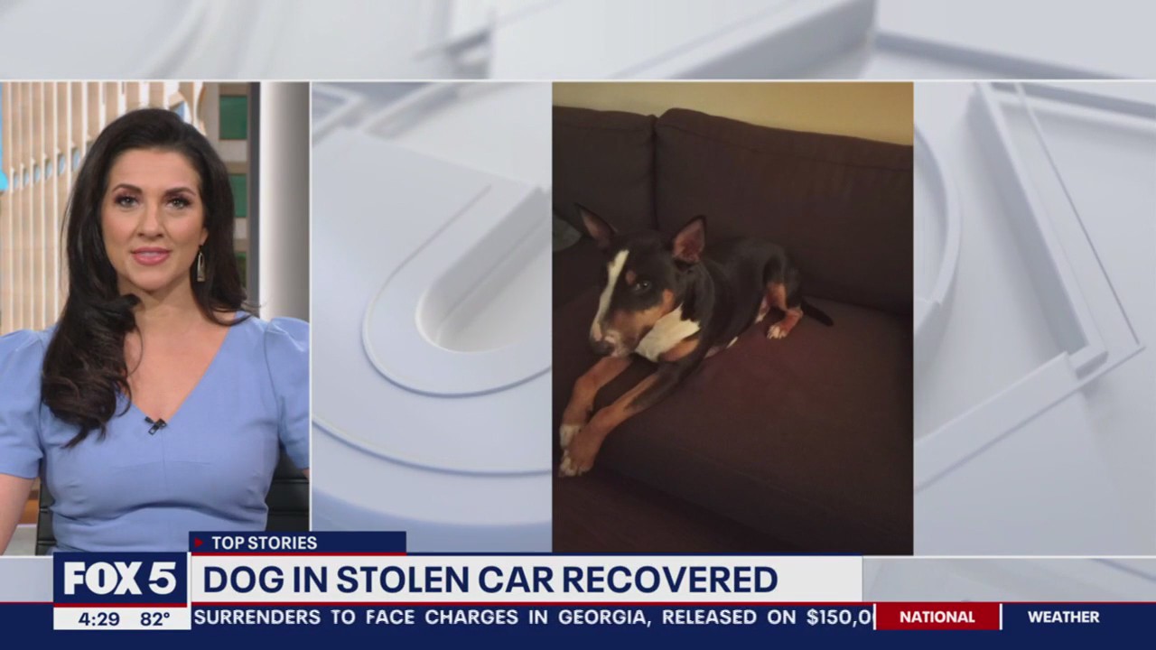 Police recover dog taken in woman's stolen car