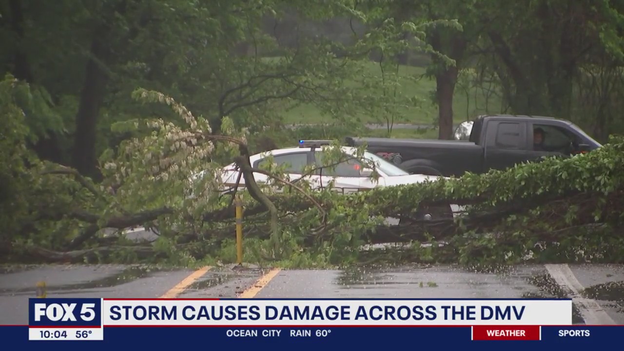 Storm causes damage across the DMV
