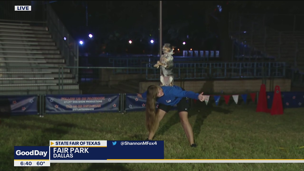 Rescue dog stunt show returns to the State Fair of Texas
