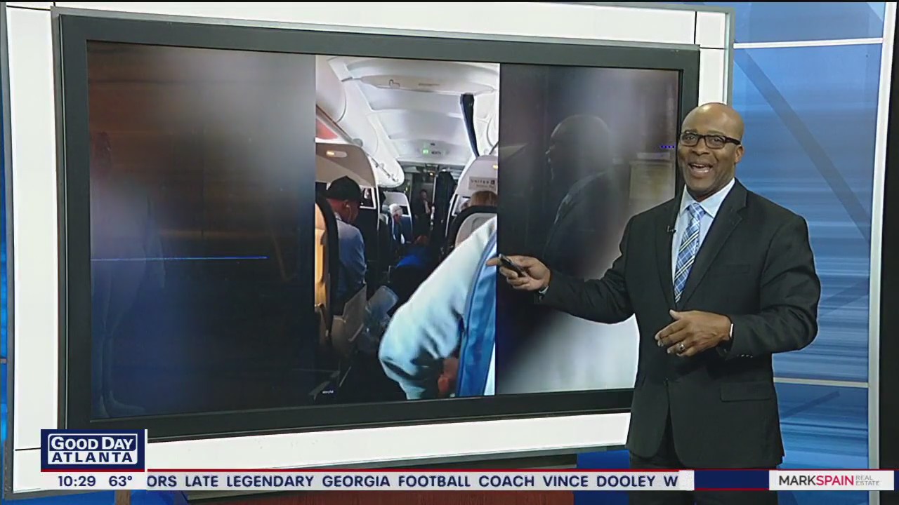 Flight attendant helps find reunite lost cat with owner on plane