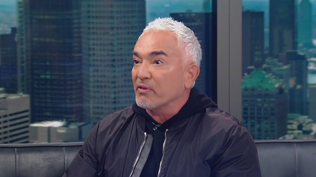 Cesar Millan, the 'Dog Whisperer'
