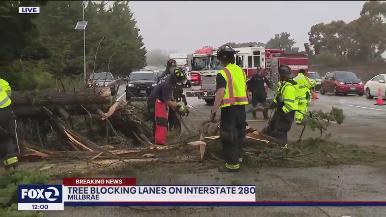 Tree blocks southbound 280