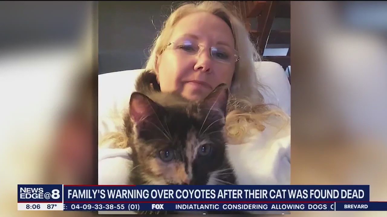 Family warning after cat killed by coyote