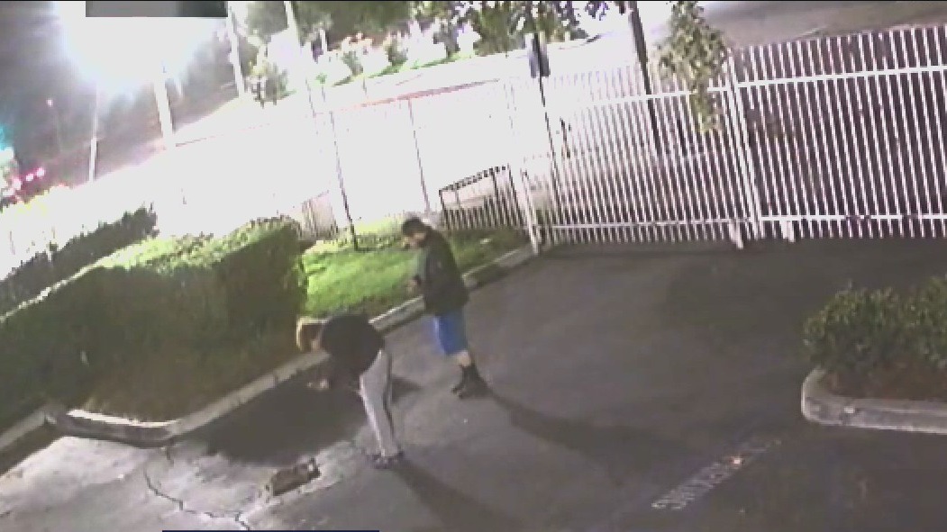Men caught on camera shooting, stabbing stray cat