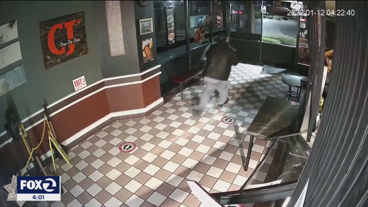 Serial burglary suspect arrested