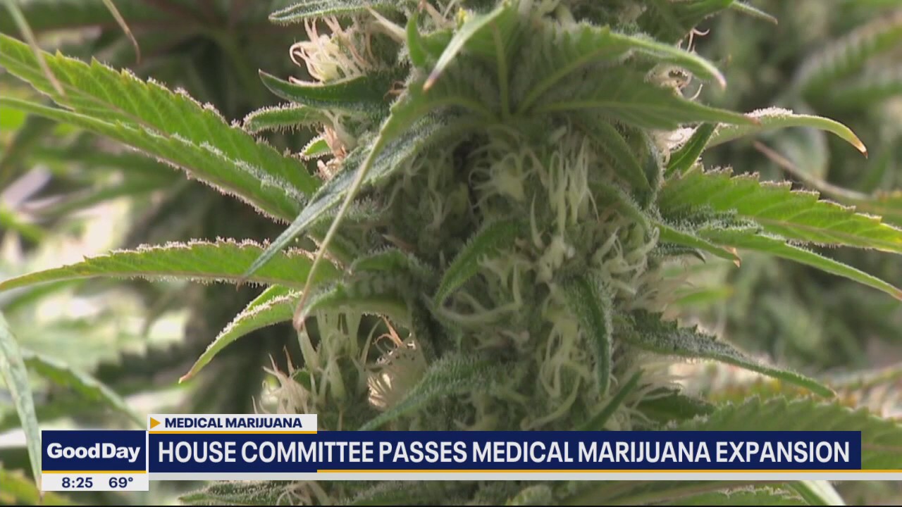 North Texas lawmaker hoping to expand medical marijuana access