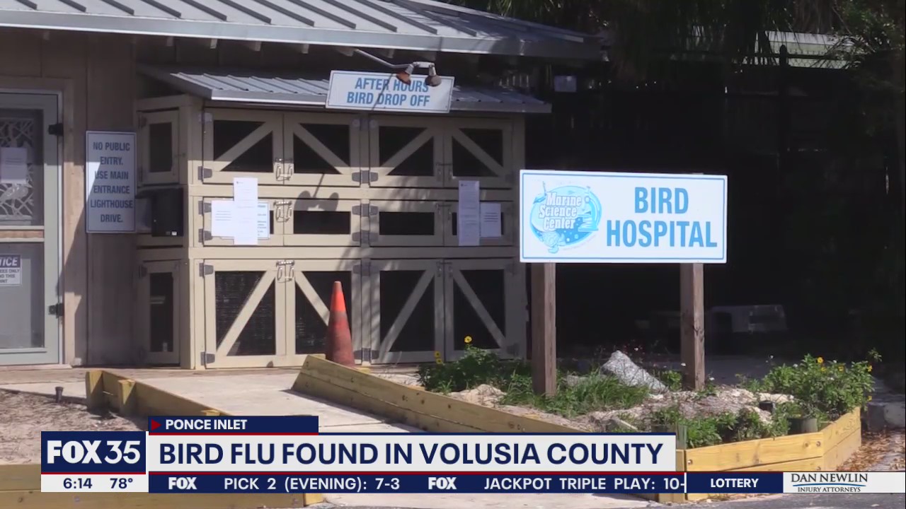 'Bird flu' cases impacting Central Florida tourist attractions