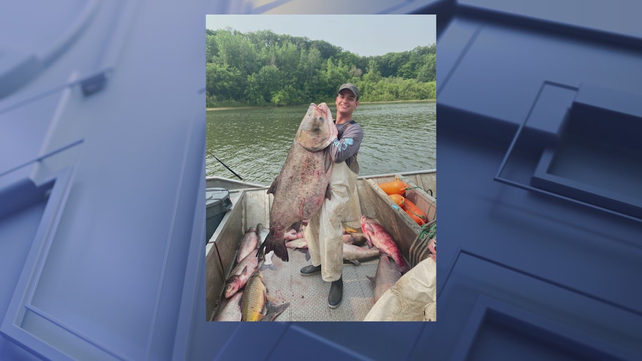Massive 105-pound carp caught in Illinois River