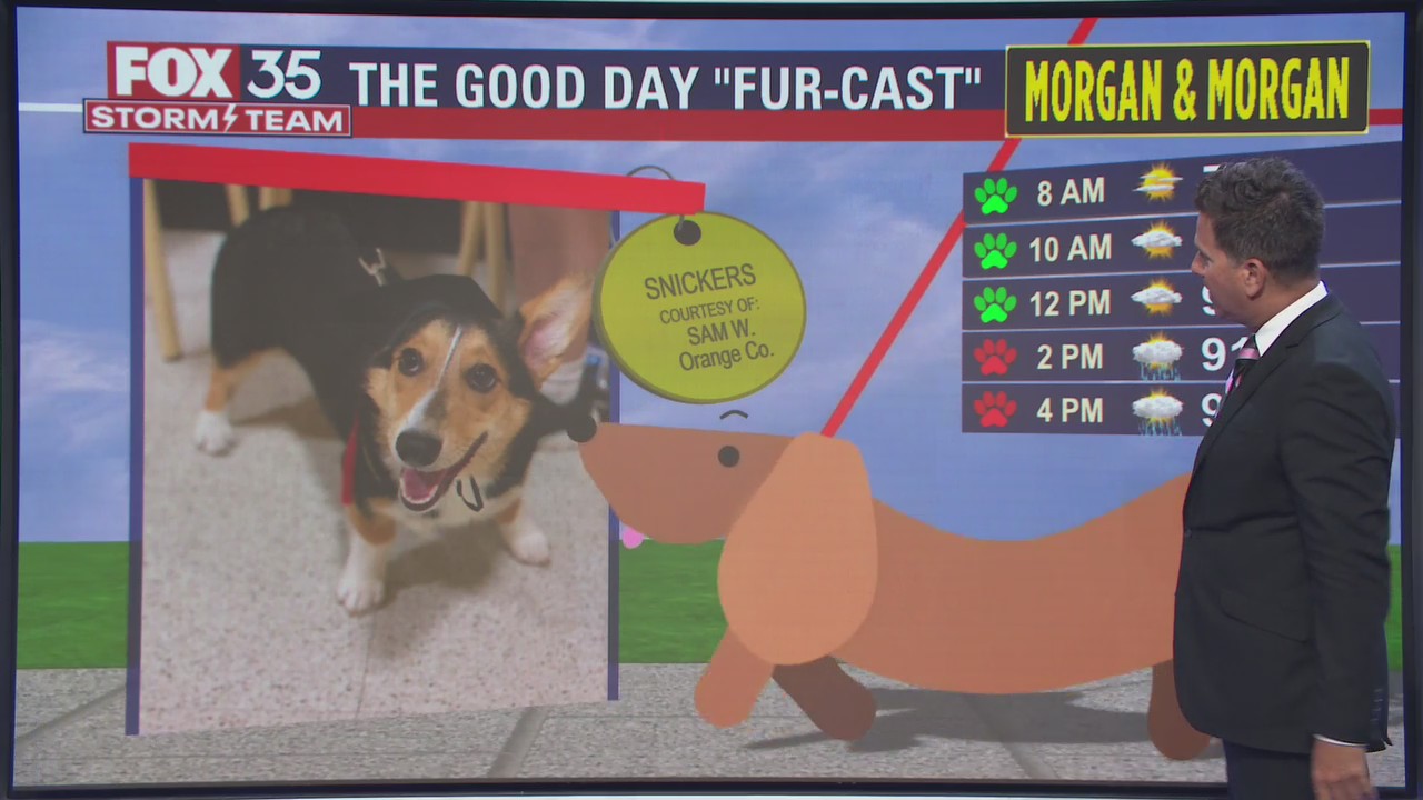 Good Day 'Fur-Cast': Snickers