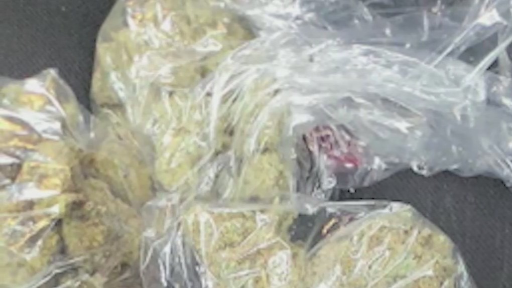 Police obtain guns, drugs, cash in multi-agency operation in South Fulton