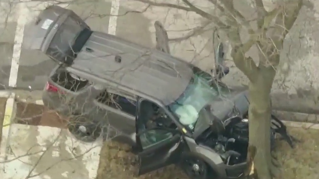 2 Chicago police officers hospitalized after crashing into tree