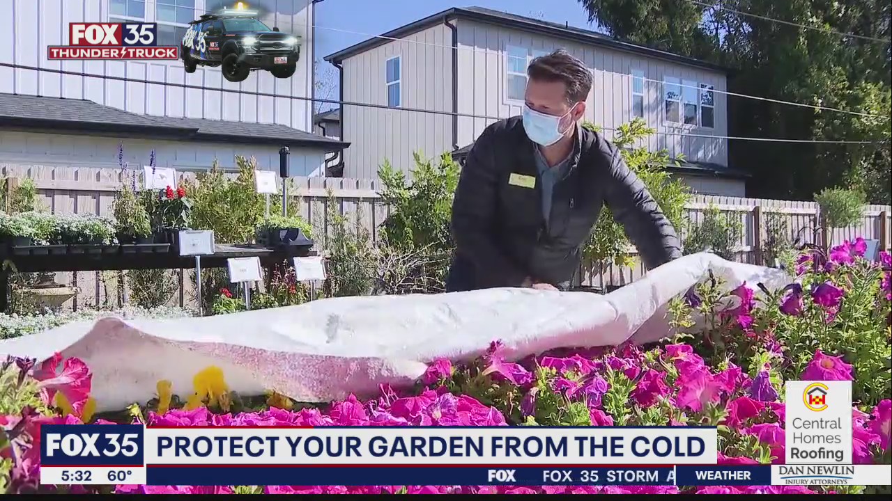 Protect your garden from the cold