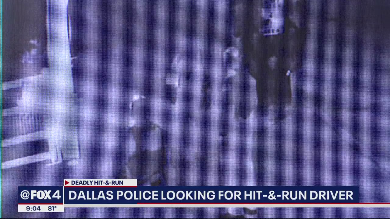 Police looking for suspect in deadly hit-and-run