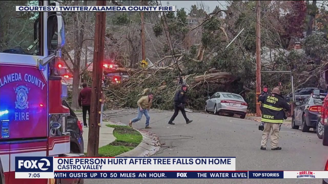 Person injured by tree falling on Castro Valley house