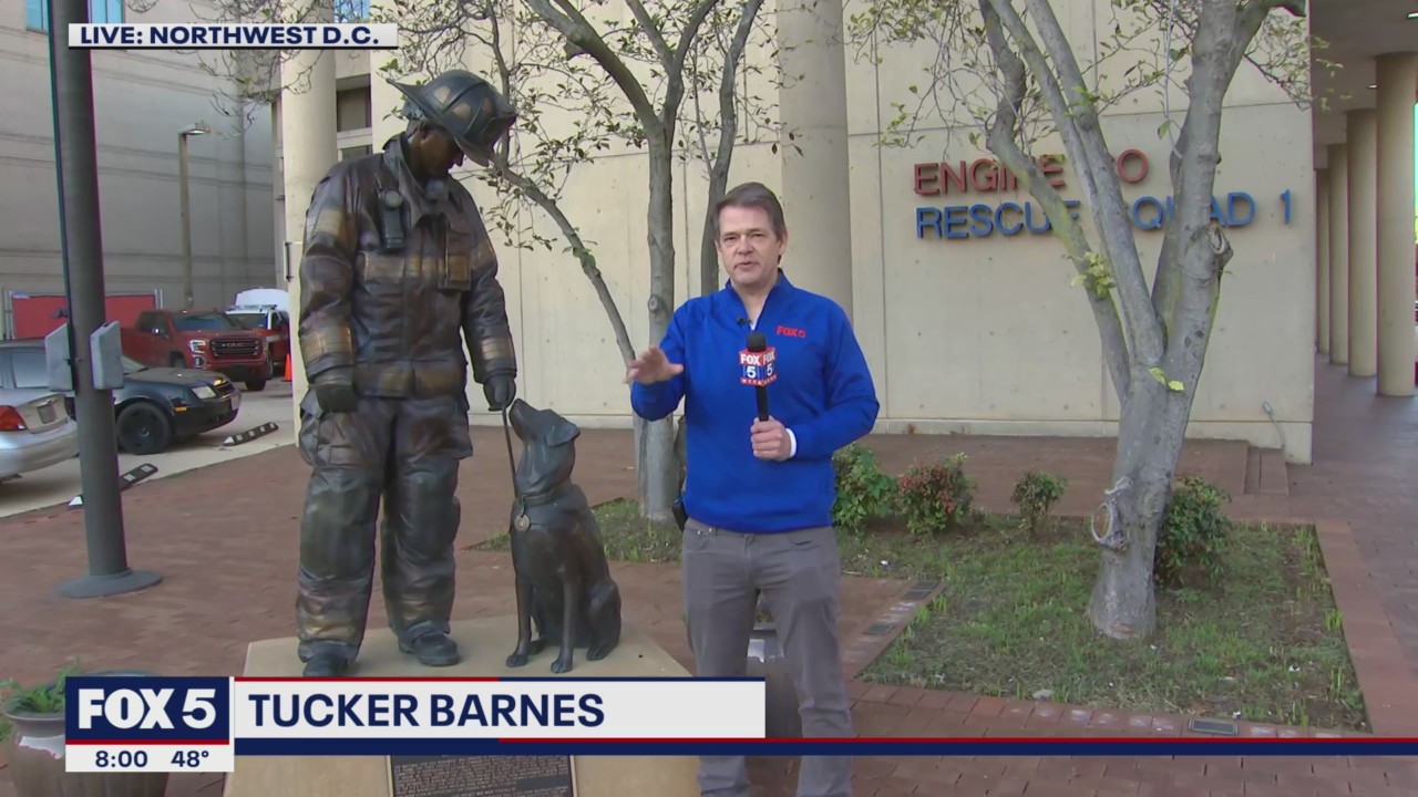 Fire Prevention Week 100th Anniversary: National Fire Dog Monument