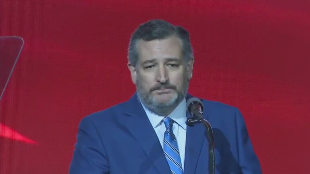 Texas primary: U.S. Senate race