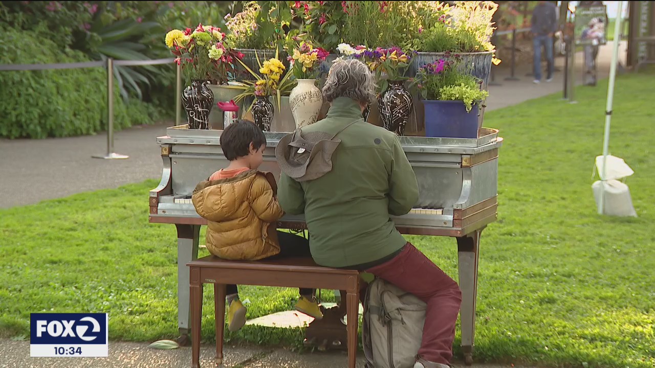 Flower Piano enchants SF's Botanical Garden with melodies and memories