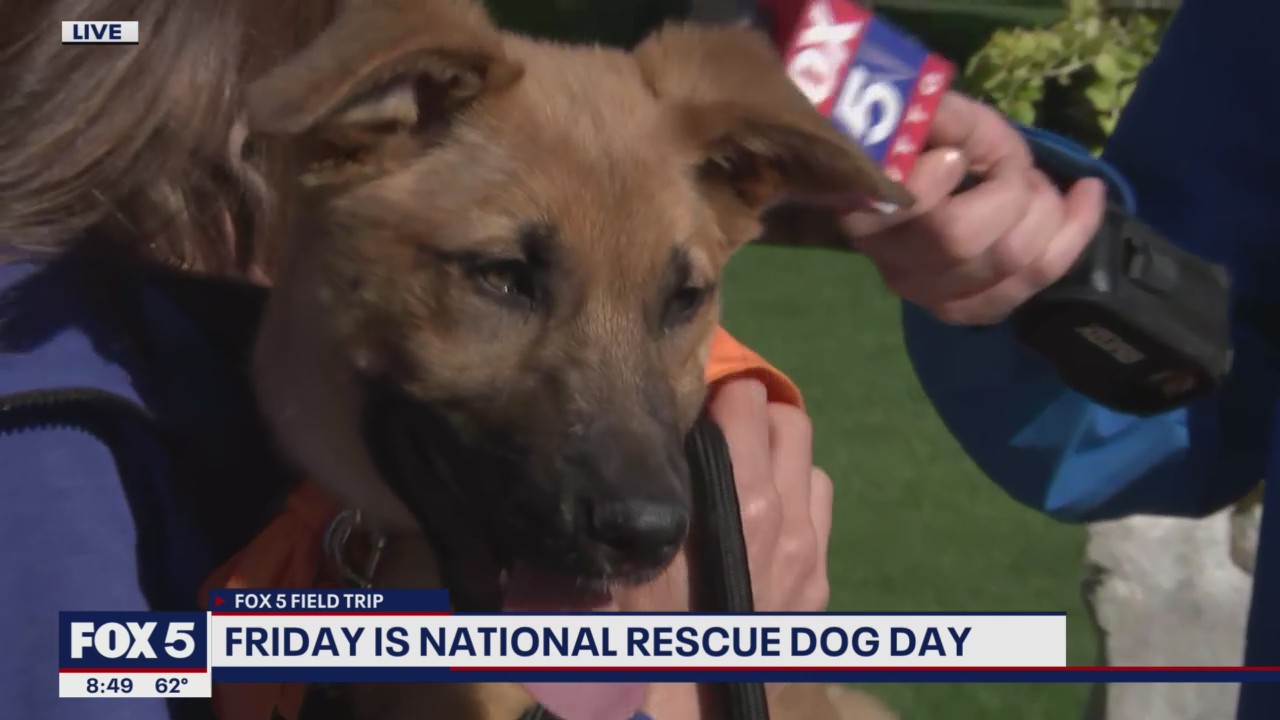 FOX 5 FIELD TRIP: Getting ready for National Rescue Dog Day