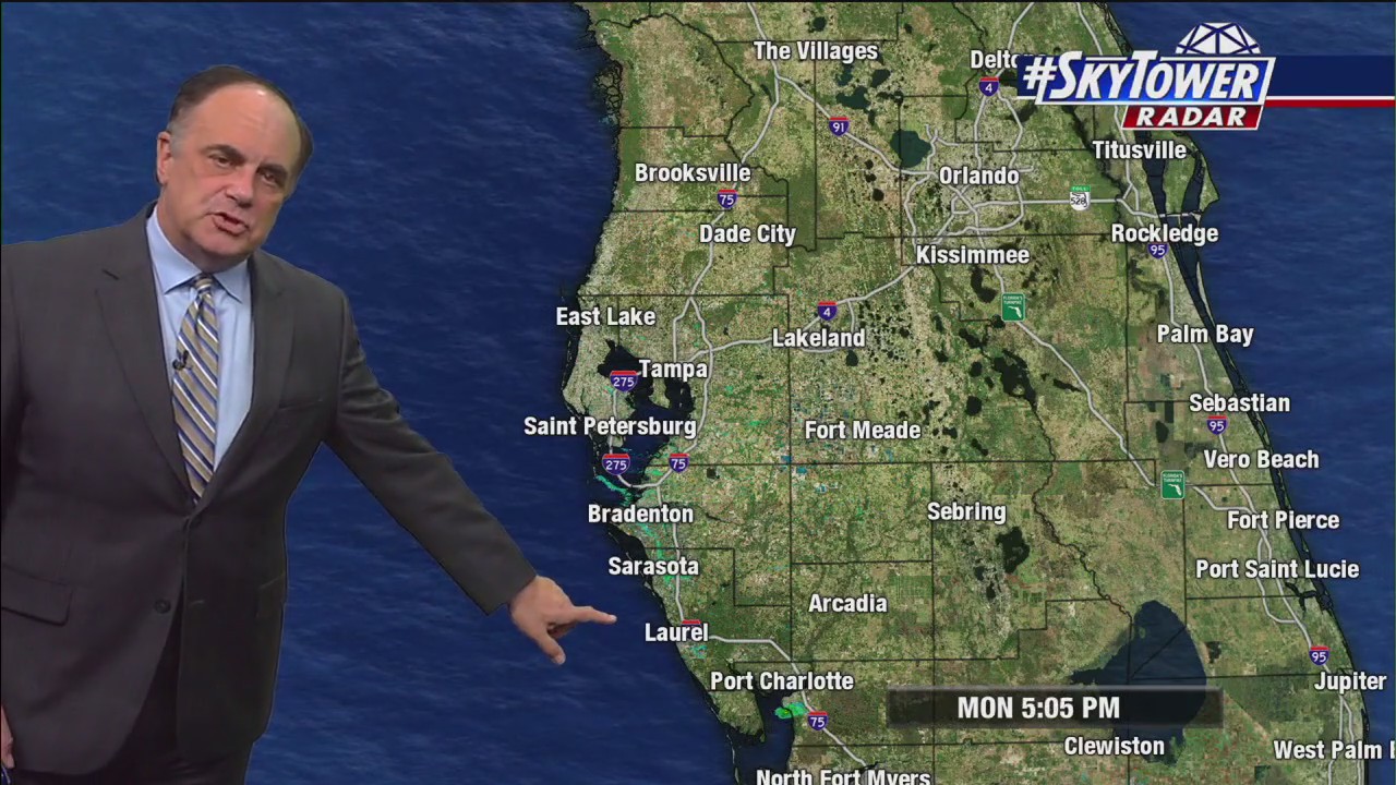 Tampa Weather | low clouds, some fog