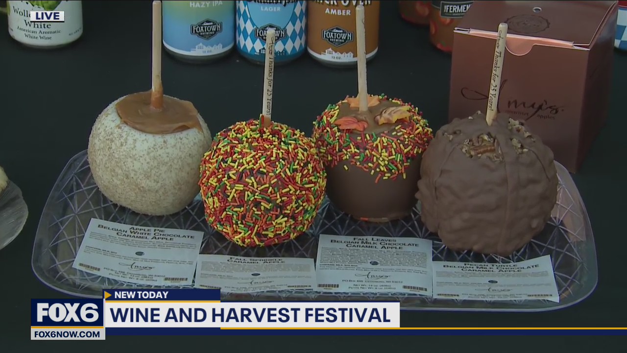 Vendors at the Wine & Harvest Festival