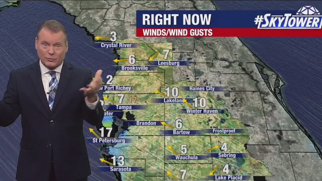 Tampa weather | mild, gusty day in store Tuesday