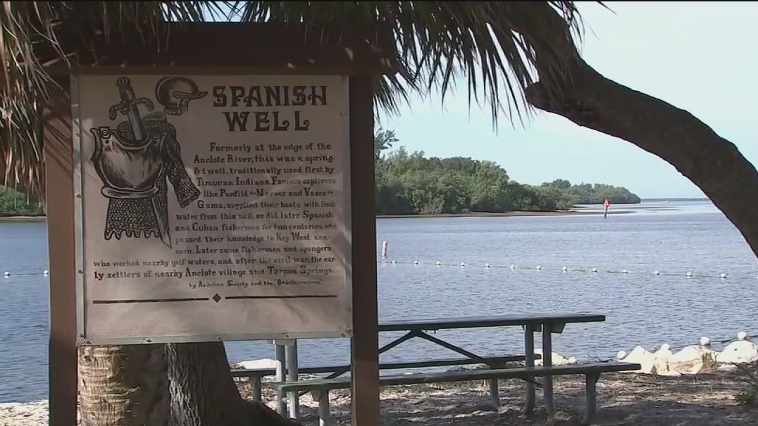 Retiree turns treasure hunter after possible Honeymoon Island discovery